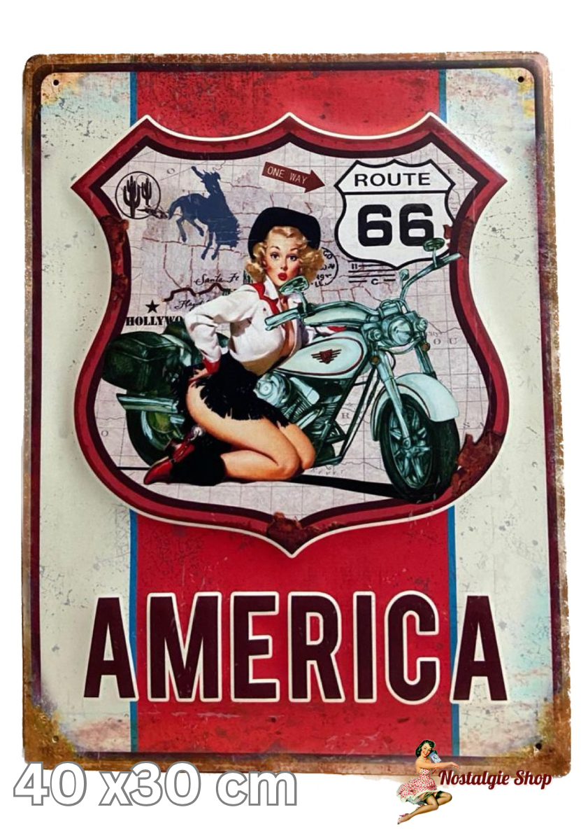 Blechschilder 30 x 40 cm verschiedene Motive,Route 66,Biker,Ford,Hot Rod,Vespa.BMW,usw.