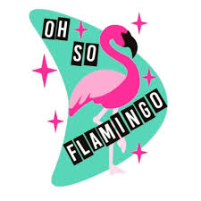 Oh So Flamingo